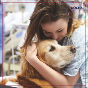 the benefits of service dogs in therapy
