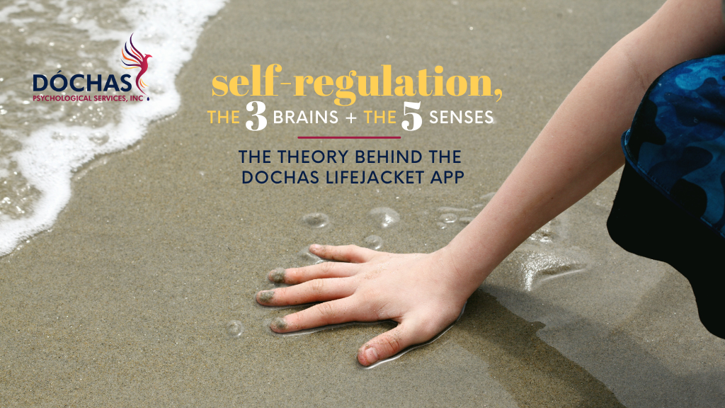 Self-regulation, the Three Brains, and the Five Senses - The Theory Behind the Dochas Lifejacket App
