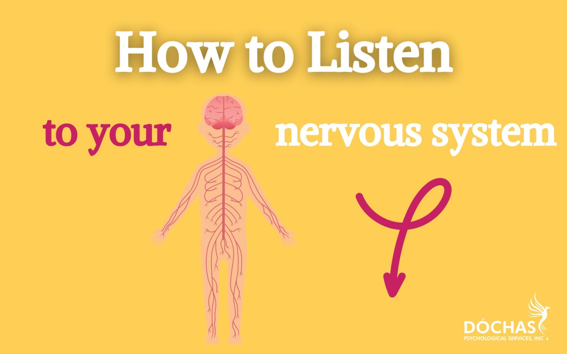 Listening to and Understanding Your Nervous System • Dóchas ...