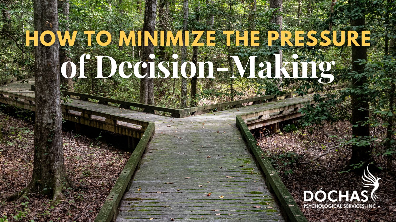 spruce grove therapy