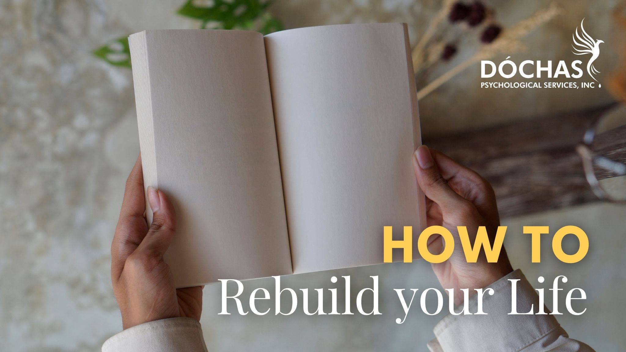 spruce grove therapy