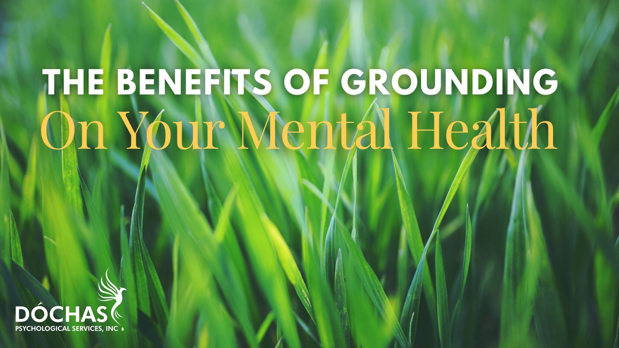 spruce grove mental health therapy